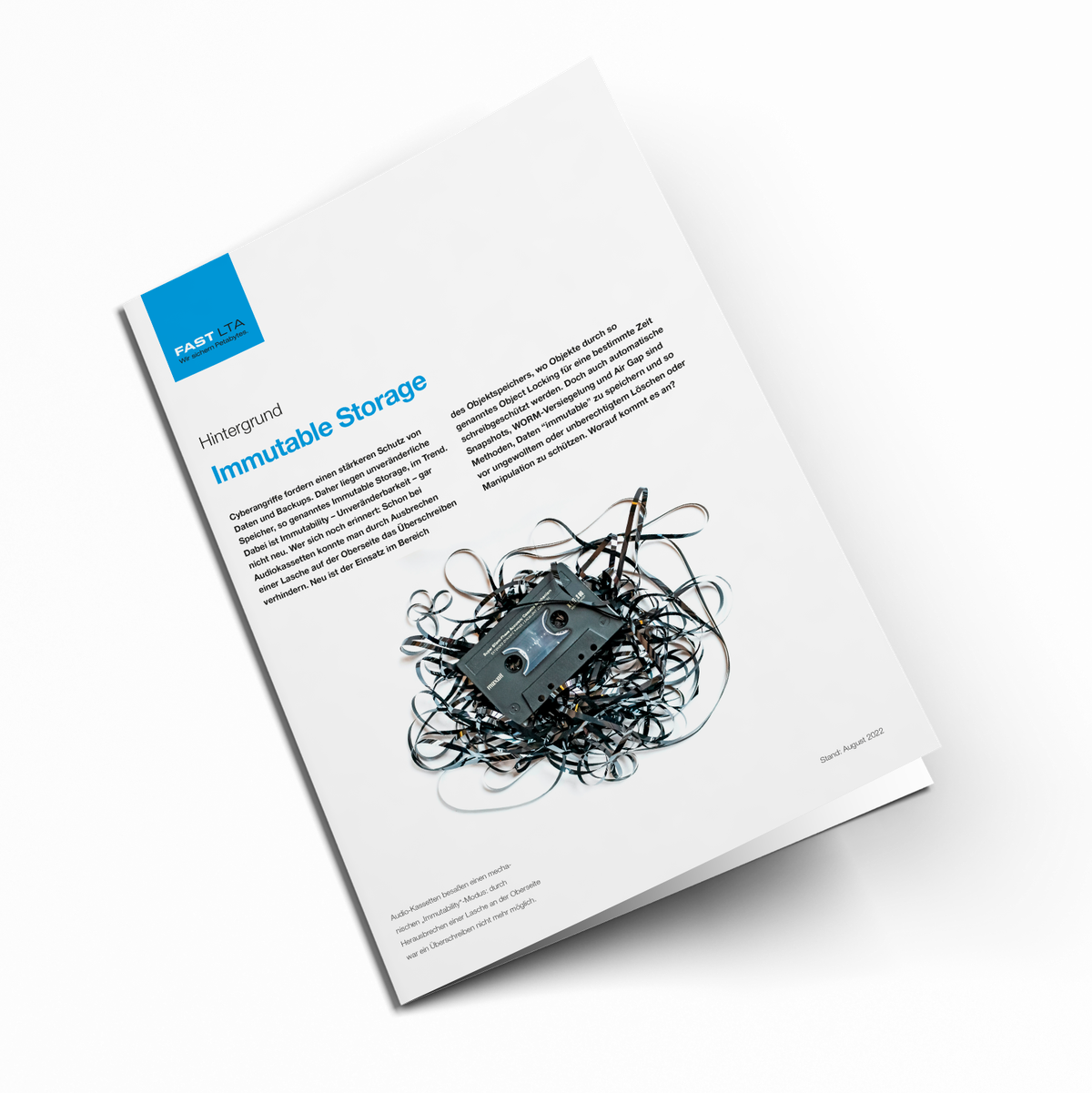 De 2022 07 WP Immutable Storage Mockup | FAST LTA