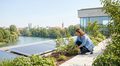 I need three photorealistic images 202605261617 | FAST LTA