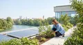 I need three photorealistic images 202605261617 | FAST LTA